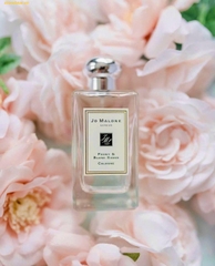 Nước Hoa Nữ Jo Malone Peony Blush Suede Cologne 100ml
