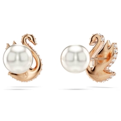 SWAROVSKI Swan stud earrings (Swan, Black, Rose gold-tone plated) - Khuyên tai thiên nga đen - JEWERY