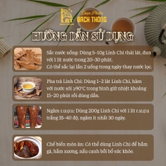[Túi 100g] Nấm Linh Chi Thái Lát