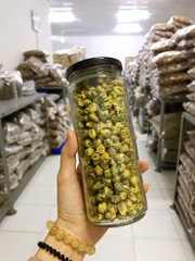 Cúc nụ - Cúc bao tử