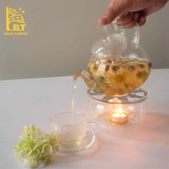 Cúc nụ - Cúc bao tử