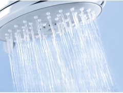 Sen cây ổn nhiệt Grohe Euphoria SmartControl System 260 (26509000)