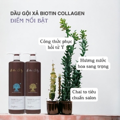 Dầu Gội Xả Pasiori Biotin Collagen Hair Repair phục hồi tóc hư tổn giảm rụng và kích thích mọc tóc 1000ml