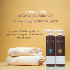 Dầu Gội Xả Pasiori Biotin Collagen Hair Repair phục hồi tóc hư tổn giảm rụng và kích thích mọc tóc 1000ml