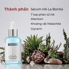 Serum HA LaBonita Vital Hyaluronic Acid dưỡng trắng da cấp ẩm cải thiện độ đàn hồi 50ml Hàn Quốc chính hãng
