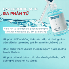 Serum HA LaBonita Vital Hyaluronic Acid dưỡng trắng da cấp ẩm cải thiện độ đàn hồi 50ml Hàn Quốc chính hãng