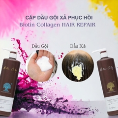 Dầu Gội Xả Pasiori Biotin Collagen Hair Repair phục hồi tóc hư tổn giảm rụng và kích thích mọc tóc 1000ml