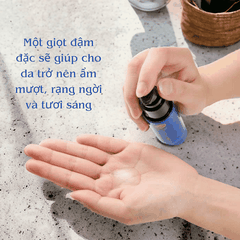 Serum Meishoku Placewhiter Serum Retinol và nhau thai giúp dưỡng trắng chống lão hoá và cấp ẩm 30ml Nhật Bản