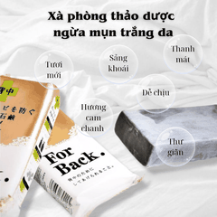 Xà phòng ngừa mụn lưng Pelican For Back Medicated Soap Bar giảm mụn lưng tắm trắng da chuẩn Nhật Bản 135g