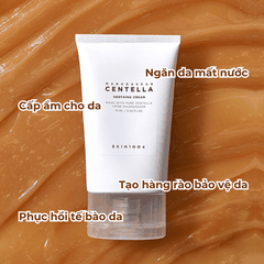 Kem Dưỡng Ẩm Chiết Xuất Rau Má Skin1004 Madagascar Centella 75ml cho da dầu mụn và nhạy cảm Chính hãng Hàn Quốc