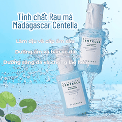 Tinh Chất Cấp Ẩm, Dưỡng Trắng Skin1004 Hyalu Cica Rau Má Madagascar Centella Serum 50ml Chính hãng (HSD: 28/09/2025)