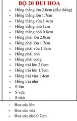 Bộ 20 đui hoa