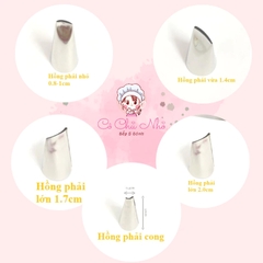 Đui hồng phải lớn (1.7cm)