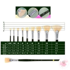 Cọ xòe vẽ tranh sơn dầu, cọ nước, cọ dành cho người mới bắt đầu vẽ