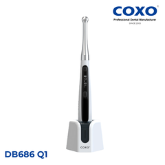 Đèn quang trùng hợp COXO DB-686 Q1