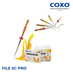 File dẻo Coxo SC-Pro