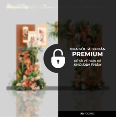 Cổng Tư Gia Tone Cam TGC005C