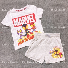 Set cộc tay xám nhạt / Spidey