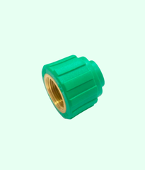 saddle-ren-trong-3-4-pp-r-gs