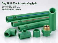 ong-ppr-gs-cap-nuoc-nong-lanh-din-8077-din-8078