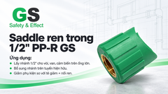 saddle-ren-trong-1-2-pp-r-gs