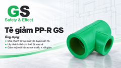 te-giam-pp-r-gs