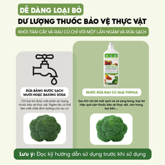 Nước rửa rau củ quả TOPGIA