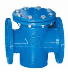 Tê Gang Lọc Rác Mặt Bích – Giải Pháp Bảo Vệ Hệ Thống Đường Ống Hiệu Quả
