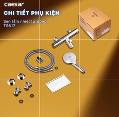 Sen Tắm Nhiệt Tự Động CAESAR TS617 Chính Hãng – Tay Sen 3 Chế Độ Massage, Giữ Nhiệt 38-40°C