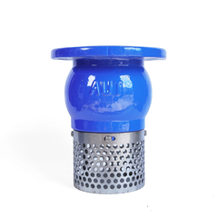RỌ BƠM AUT – VAN HÚT MỘT CHIỀU GANG CẦU CHẤT LƯỢNG CAO 🔧💧