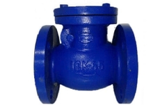 VAN 1 CHIỀU MẶT BÍCH JIS10K WONIL HÀN QUỐC