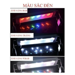 Đèn Led Máng KAOKUI 6 Hàng Bóng Ánh Sáng 10000k Dùng Cho Hồ Cá Thủy Sinh (20cm đến 60cm)