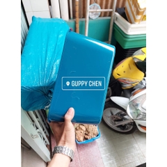 Khay Nhựa 5 Lít Nuôi Cá, Ép Cá kích Thước 30x15x15cm