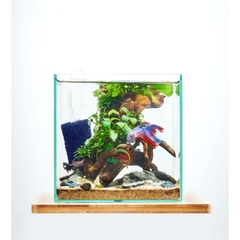 Hồ Kính Cubic Hình Vuông Dùng Để Nuôi Cá , Tiểu Cảnh , Hồ Thủy Sinh