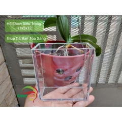 Hồ Show Cá - Kính Siêu Trong - Giúp Cá Bạn Tỏa Sáng ( GIAO HỎA TỐC HCM )