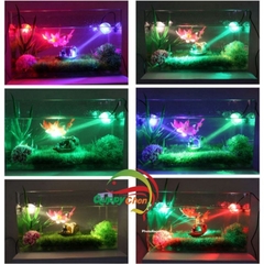 Đèn Led Trang Trí Bể Cá - Tự Động Chuyển Màu - Led Mini Lamp ( 1w )