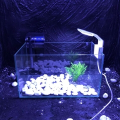 Đèn Kẹp Siêu Dễ Thương - Dùng Trang Trí Hồ Thủy Sinh Mini - (KK-X3)