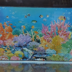 Hồ Kính Giá Rẻ 4li Có Dán Sẵn Phông Nền ( GIAO HỎA TỐC TPHCM)