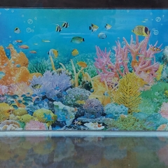 Hồ Kính Giá Rẻ 4li Có Dán Sẵn Phông Nền ( GIAO HỎA TỐC TPHCM)