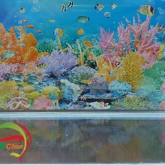 Hồ Kính Giá Rẻ 4li Có Dán Sẵn Phông Nền ( GIAO HỎA TỐC TPHCM)