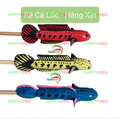 Cây Kè Cá Lóc Dùng Cho Hồ Cá Hàng Đẹp