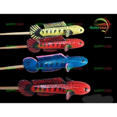 Cây Kè Cá Lóc Dùng Cho Hồ Cá Hàng Đẹp