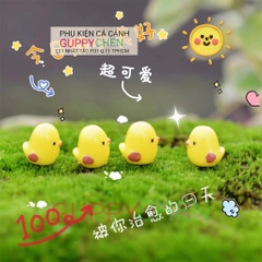 Mô Hình Tiểu Cảnh " Gà Con Mini " Phụ Kiện Trang Trí Hồ Cá và Terarium