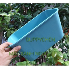 Khay Nhựa 5 Lít Nuôi Cá, Ép Cá kích Thước 30x15x15cm