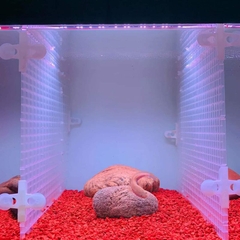 Sạn Gốm Ceramic Trải Nền Cho Hồ Cá Lóc , Tép, Thủy Sinh