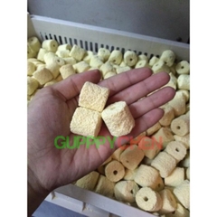 Sứ viên trụ hoa mai - vật liệu lọc cao cấp cho hồ cá