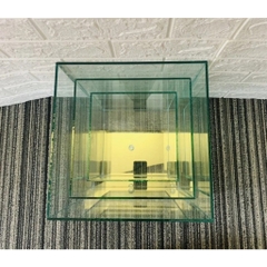 Hồ Kính Cubic Hình Vuông Dùng Để Nuôi Cá , Tiểu Cảnh , Hồ Thủy Sinh