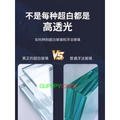 [HOẢ TỐC HCM] Hồ Kính Siêu Trong, Bể Kính Siêu Trong Hồ Thủy Sinh, Hồ Nuôi Tép