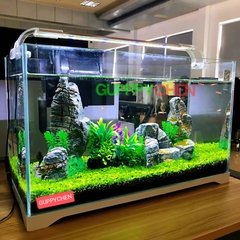 [HOẢ TỐC HCM] Hồ Kính Siêu Trong, Bể Kính Siêu Trong Hồ Thủy Sinh, Hồ Nuôi Tép