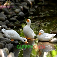 Bộ 3 Con Vịt Trang Trí Hồ Cá Thủy Sinh Tiểu Cảnh Terrarium Decor Sân Vườn